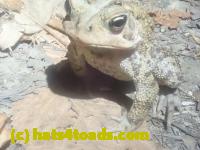 /home//u458753944/public_html/sourcegallery//McKaig Nature Center/2024-09-23/P9231558.JPG